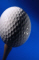 Click here for Prize Indemnity Insurance...